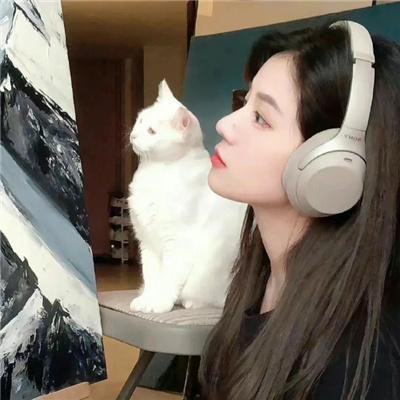 加菲猫和他的朋友们第一季