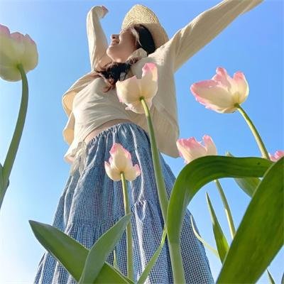 探灵档案
